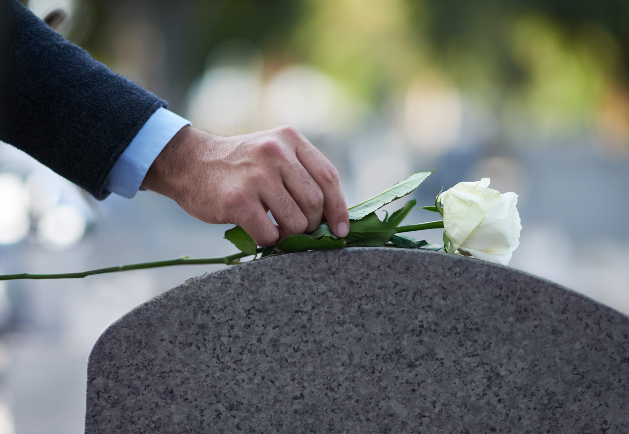 En person lägger en vit ros på en gravsten